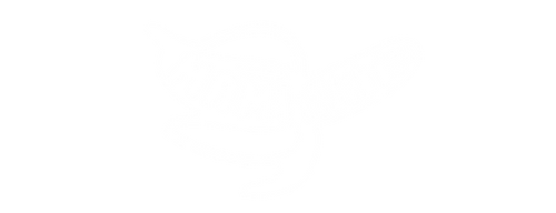 Mami Wata Surf